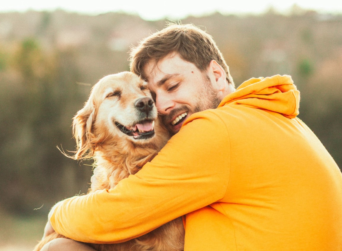 Tại sao chó lại mừng khi chủ về Tại sao chó lại mừng khi chủ về